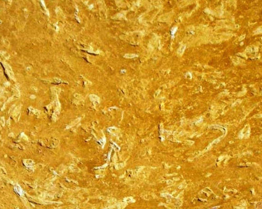 Flowery Gold Marble - Image 3