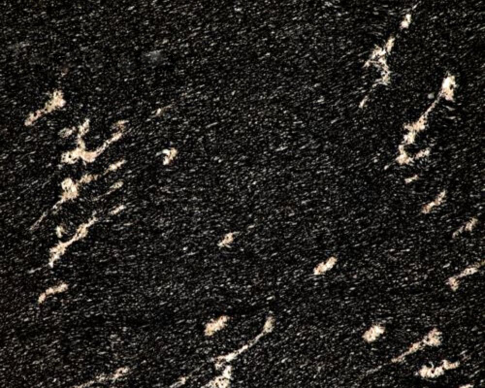 Fish Black Granite - Image 2