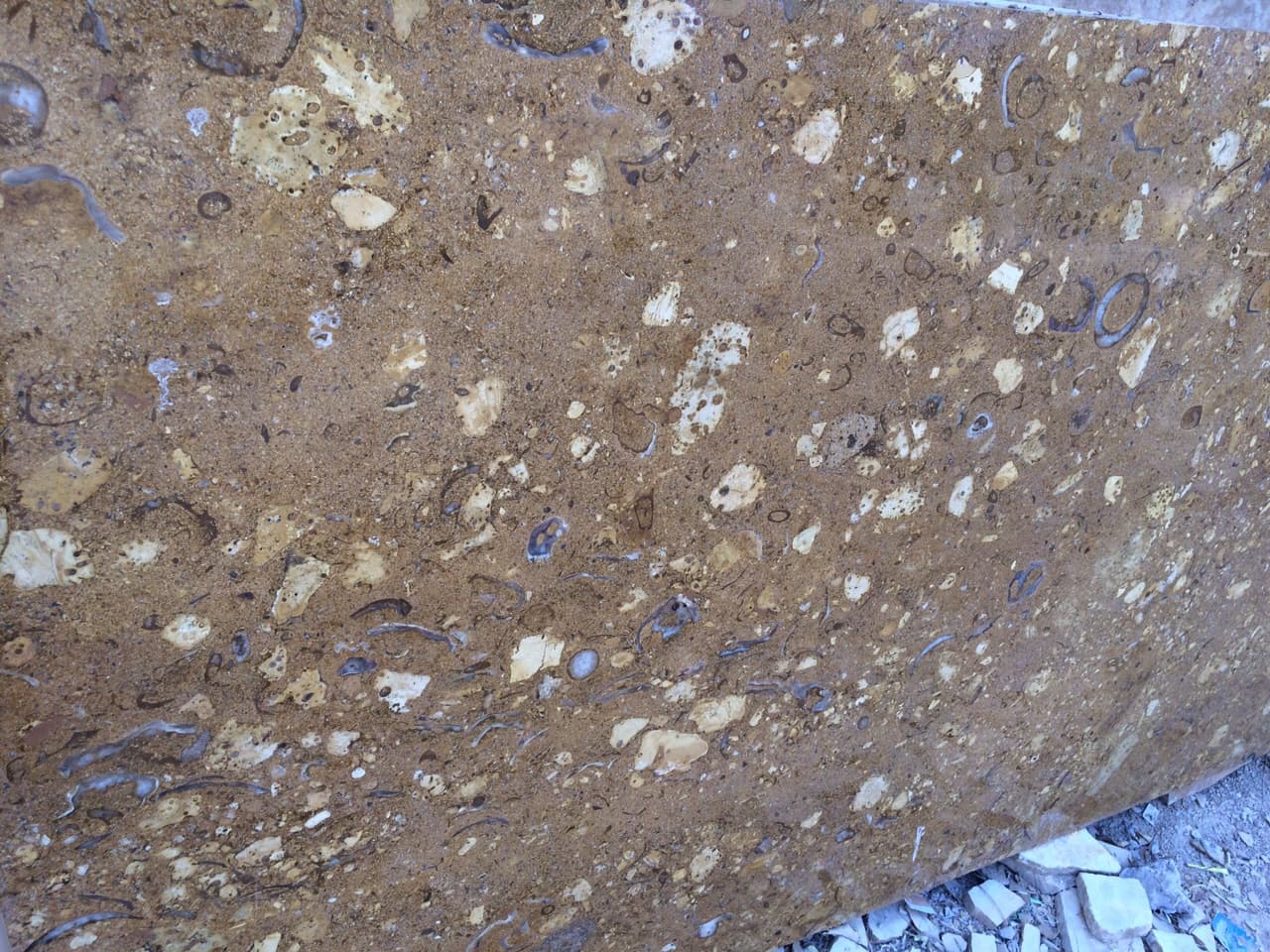 Goldino Marble - Image 3
